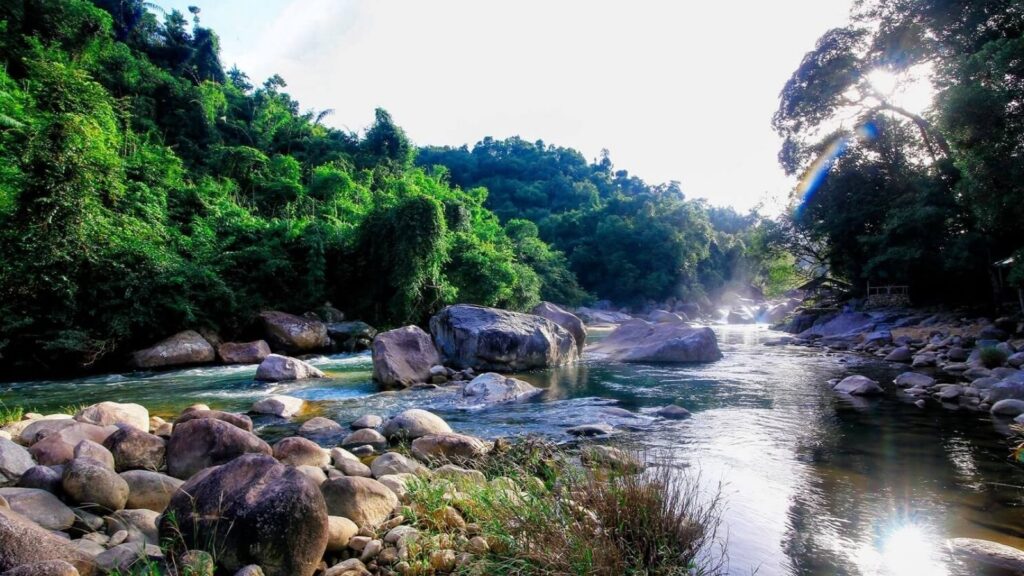 explore the streams in Vietnam