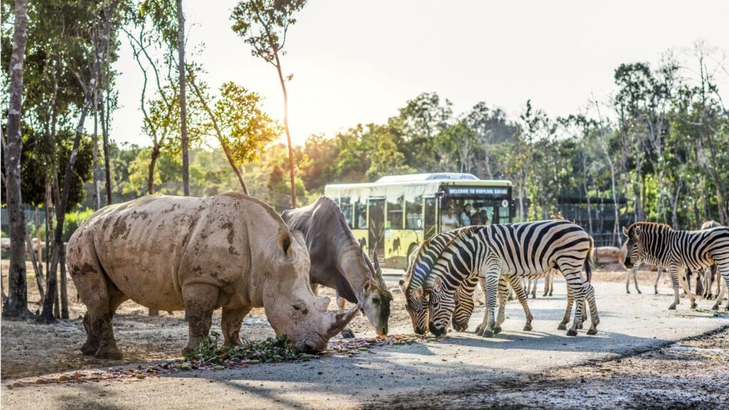 explore the zoos in vietnam