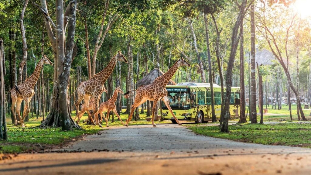 visit zoos in vietnam