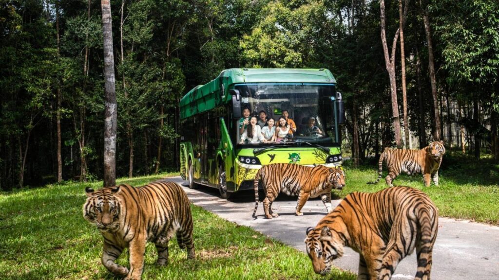 experience zoos in vietnam