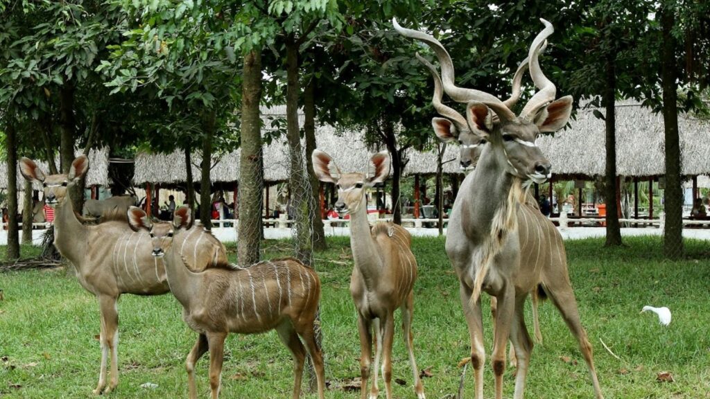 dai nam park ho chi minh city